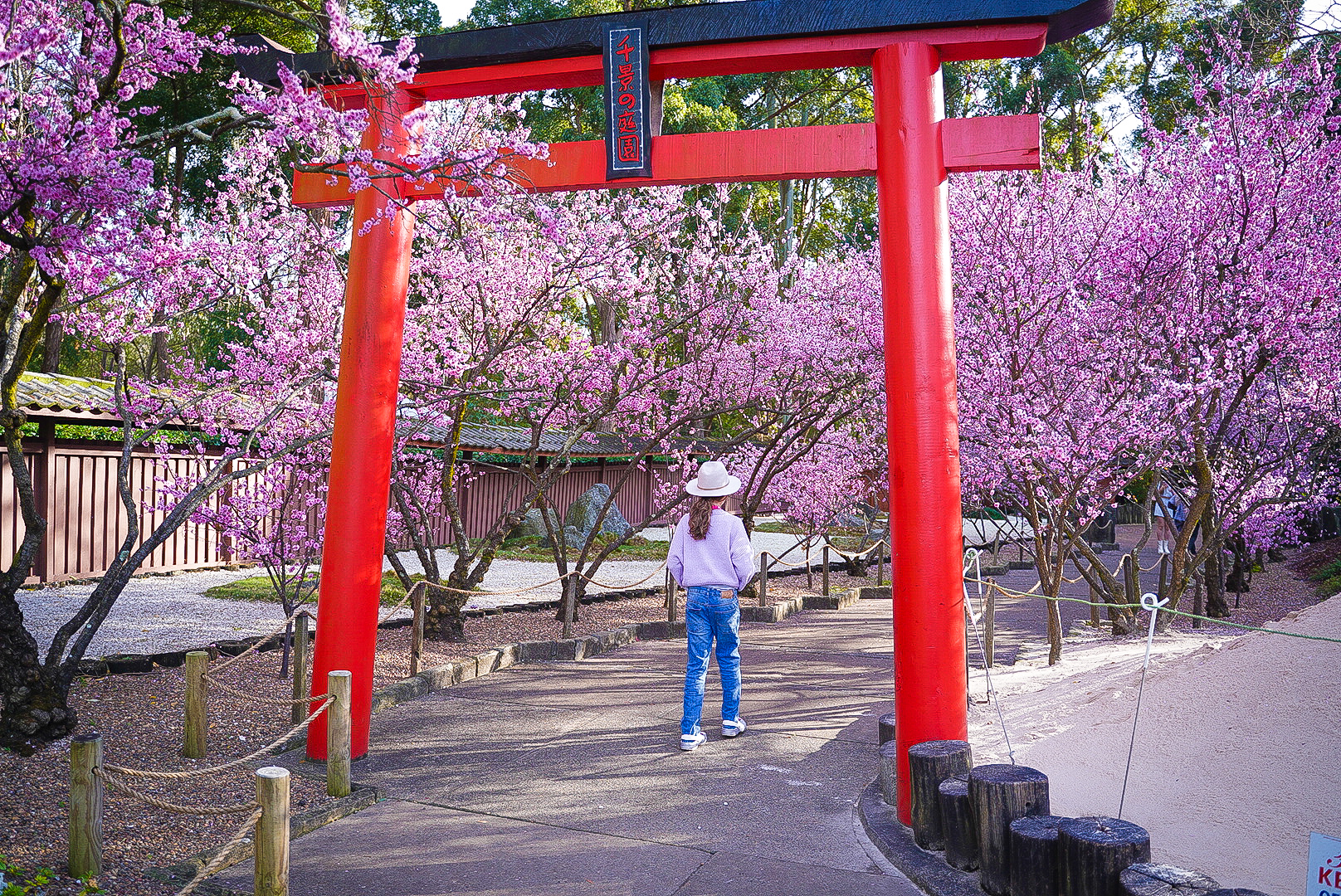 DSC05907