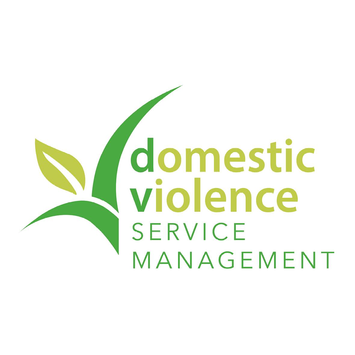 DVSM