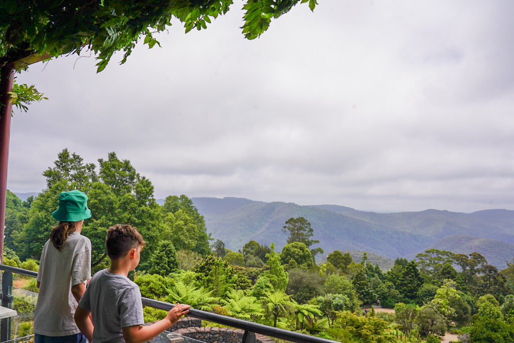 Blue Mountains Botanic Garden Mount Tomah