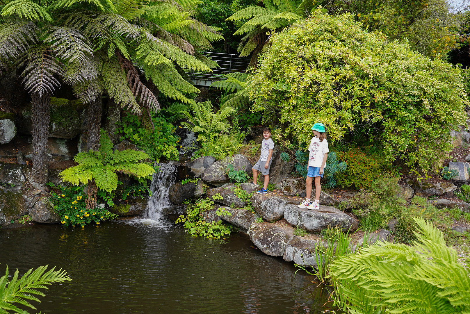 Blue Mountains Botanic Garden Mount Tomah