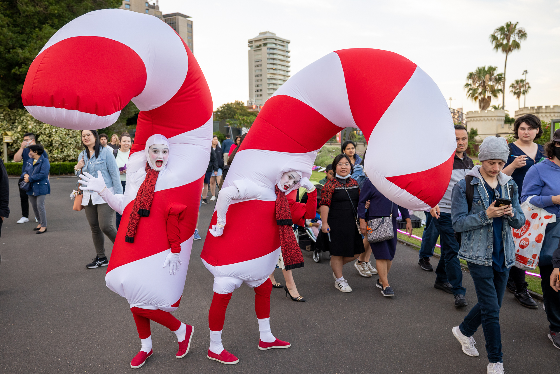 Candy-Canes-3-Photo-Tim-Levy_