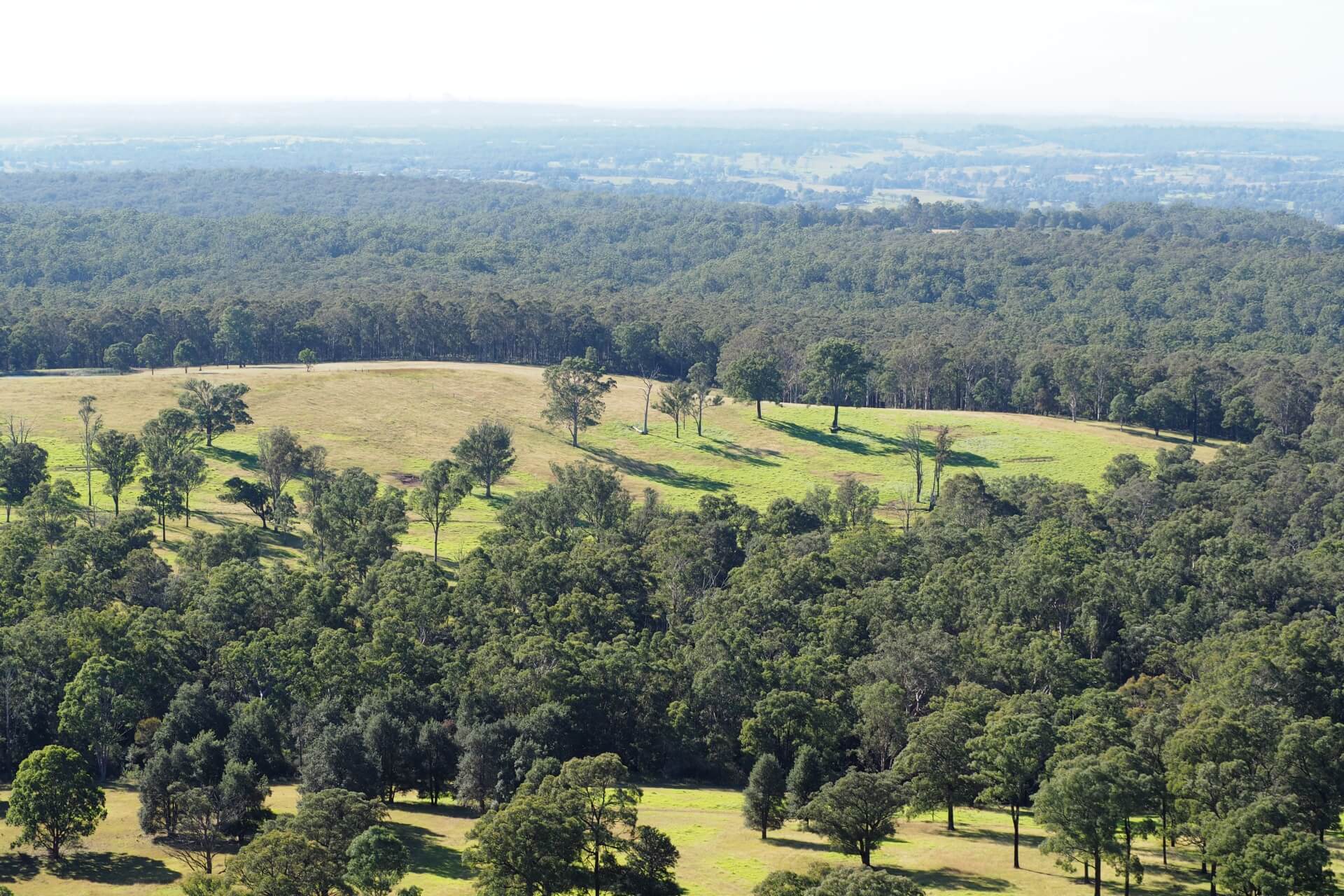 land-proposed-for-restoration-gulguer-national-park-nl