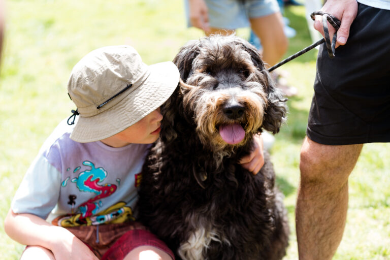 Pet Festival