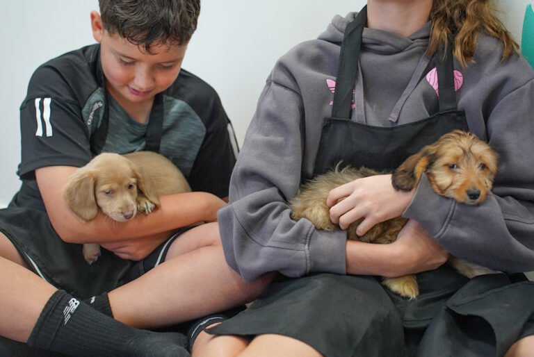 School Holidays at Paws n Paintz