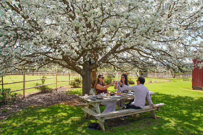 The Perfect Mudgee Region Weekend Guide